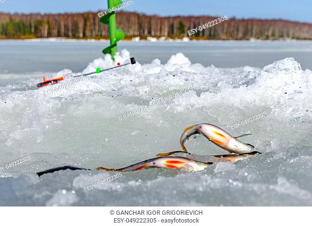 Ice fishing in the winter time in Russia