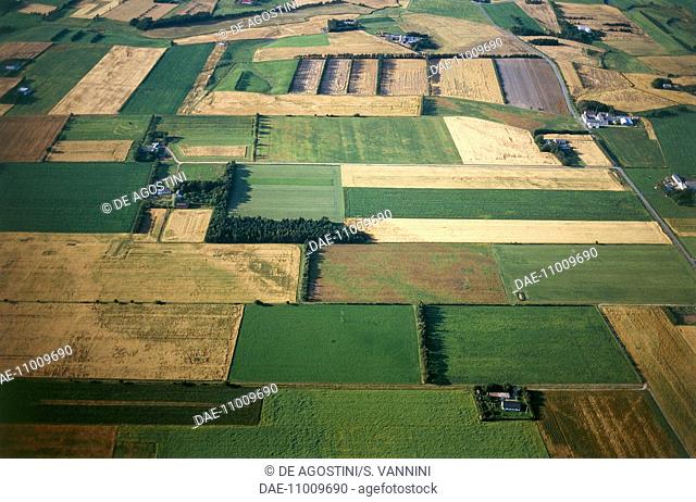 Cultivated fields between Skagen and Hjorring, Nordjylland, Denmark