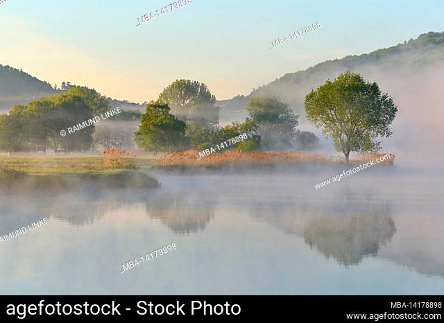 Tree, lake, fog, reflection, sunrise, spring, Drei Gleichen, district Gotha, Thuringia, Germany