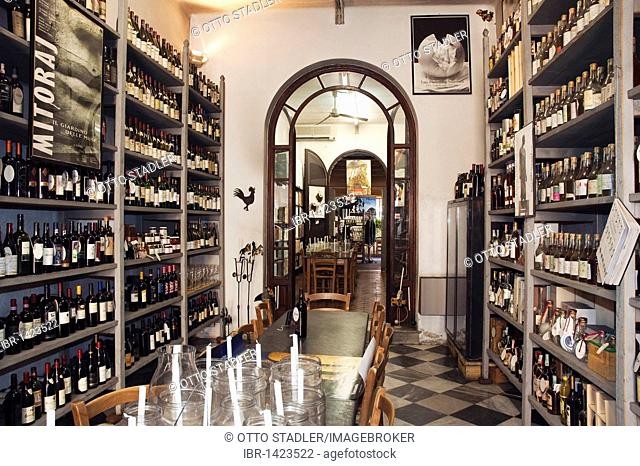 Wine shop, Enoteca Marcucci, Pietrasanta, Tuscany, Italy, Europe