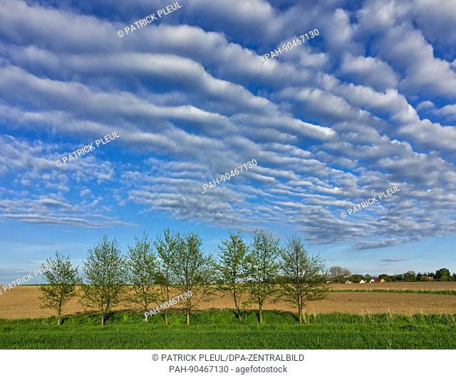 Dramatic clouds in a blue sky over the village of Sieversdorf, Germany, 7 May 2017. Photo: Patrick Pleul/dpa-Zentralbild/ZB | usage worldwide
