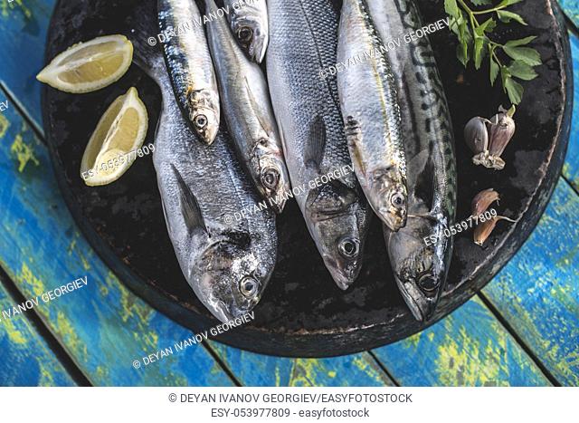 Raw fish. Sea bream, sea bass, mackerel and sardines. Blue wooden background