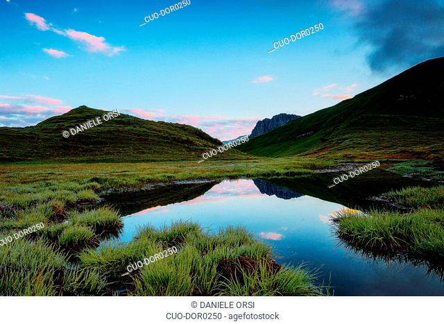 Mulaz Mount reflected in a little alpine lake near the Baita Segantini, Rolle Pass, Dolomites, Trentino Alto Adige, Italy