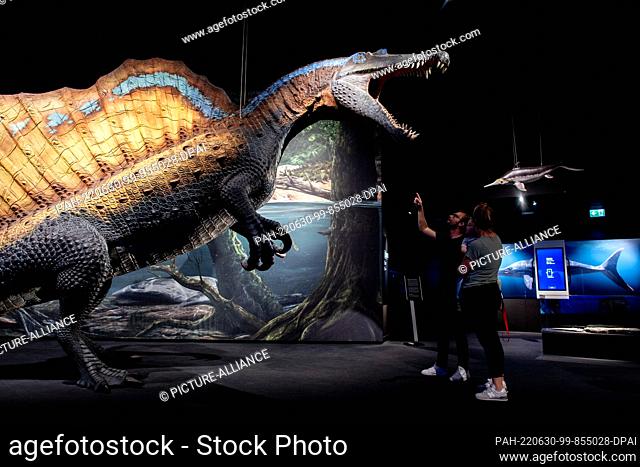 22 June 2022, Lower Saxony, Wilhelmshaven: A family looks at a life-size model of a spinosaurus in the new adventure exhibition ""Saurians - Giants of the...