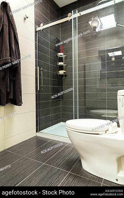 Toto toilet and glass shower stall in en suite with black and grey ceramic tiles inside contemporary home, Quebec, Canada