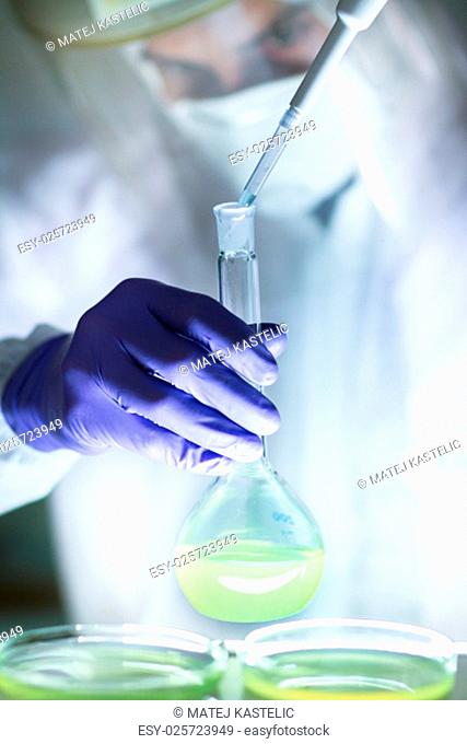 Life scientist researching in laboratory. Focused life science professional pipetting human serum media containing HIV infected cells