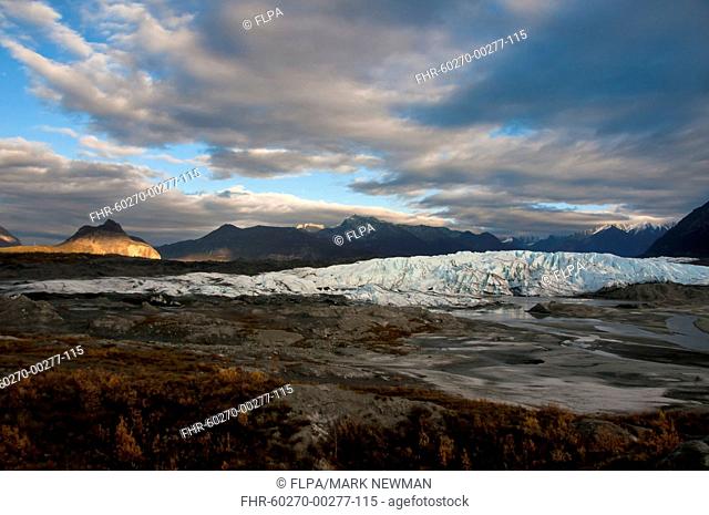 View of valley glacier terminus at sunset, Matanuska Glacier, Chugach Mountains, Alaska, U S A , september