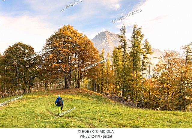 Hiker on green meadow during autumn, Piani Resinelli, Valsassina, Lecco province, Lombardy, Italian Alps, Italy, Europe
