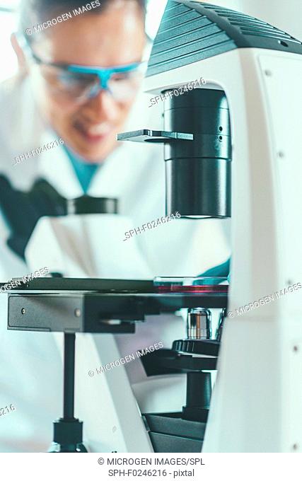 Female chemist or lab technician researching samples in laboratory