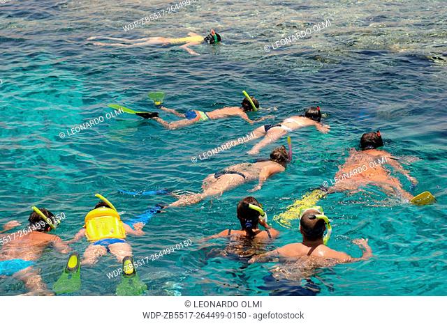 Egypt, Ras Mohammed National Park, Allah Aquarium, snorkeling on reef