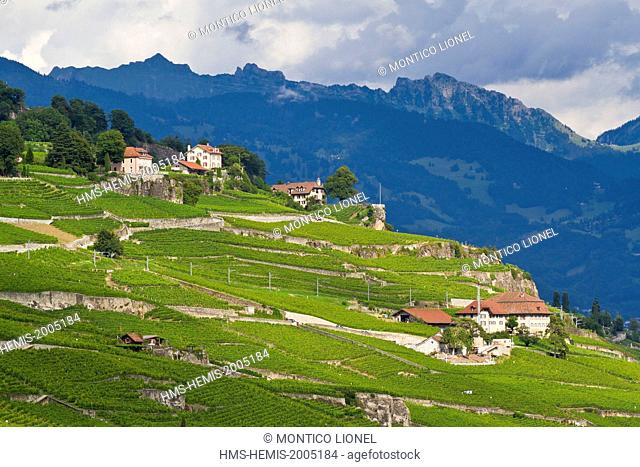 Switzerland, Canton of Vaud, Lavaux Vineyard Terraces listed as World Heritage by UNESCO, it extends from Montreux to Lausanne on 32km along Lake Geneva and...