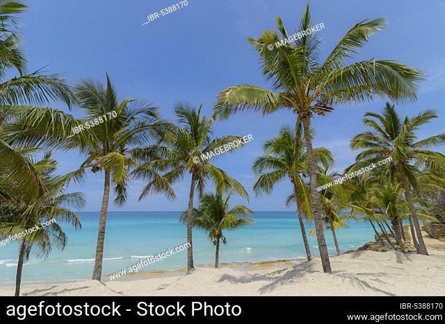 Varadero Beach, Cuba, Central America