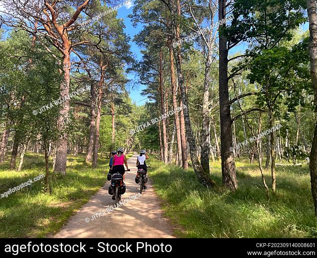 Forest in the Slowinski National Park, between the sea and Lake Lebsko. On the shores of the Baltic, the village of Leba