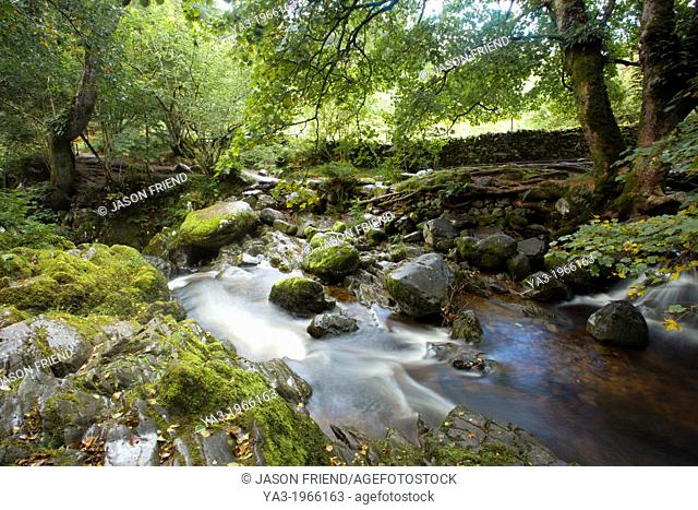 England, Cumbria, Lake District National Park. Aira Beck above Aira Force, a powerful body of water near the shores of Ullswater