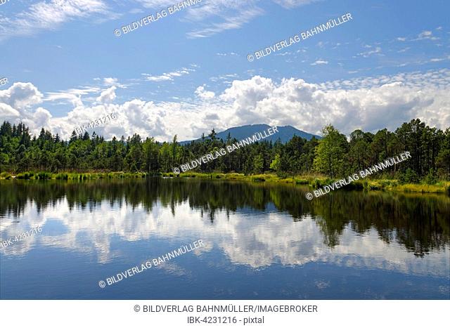Deep lake, nature reserve Gschwender Fliz in front of the High Bleick, Trauchgauer mountains, Saulgrub, Upper Bavaria, Bavaria, Germany
