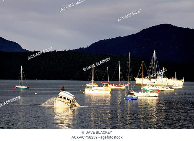A boat owner waits anxiously on his sinking boat as he pumps water out of its hold in Cowichan Bay, BC