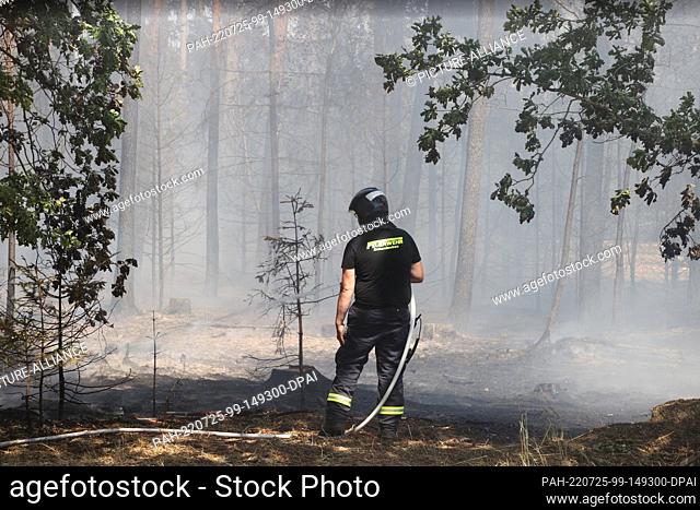 25 July 2022, Thuringia, Kleinwolschendorf: Firefighters fight the fire in a wooded area. After an adjacent field was already burning