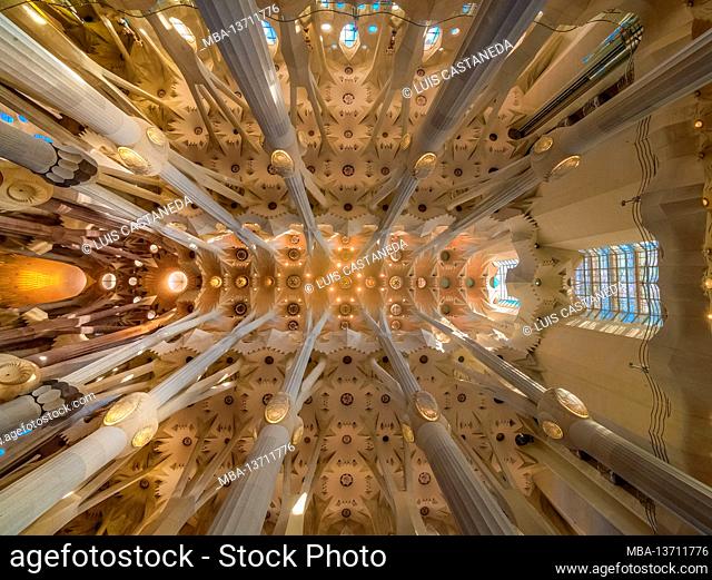 Detail of the Ceiling. La Sagrada Familia Basilica. Barcelona. Spain.The Basilica and Expiatory Church of the Holy Family is a large Roman Catholic church in...