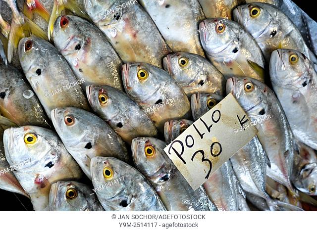 Fish named ‘pollo’ is seen for sale at the seafood and fish market in Veracruz, Mexico