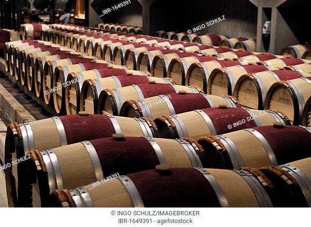 French oak barrels in the aging cellar of the Robert Mondavi Winery, Napa Valley, California, USA
