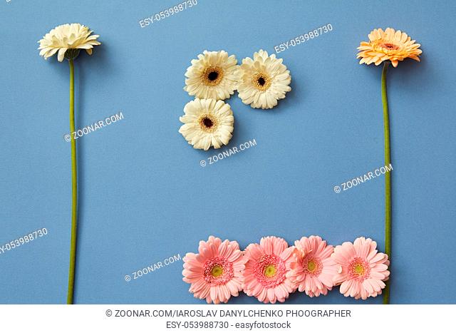 Composition in the form of figures from different colors of gerberas on a blue background. The concept of playing tetris. Flat lay