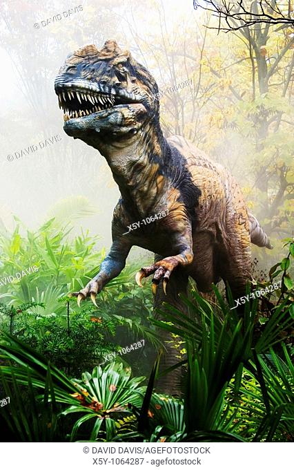 Metriacanthosaurus which means 'moderately spined' dinosaur from the late Jurassic period  Goes to a length of 27 feet and weighted 1 ton  Was a meat eater...