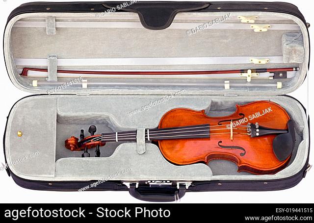 Violin in the box cutout