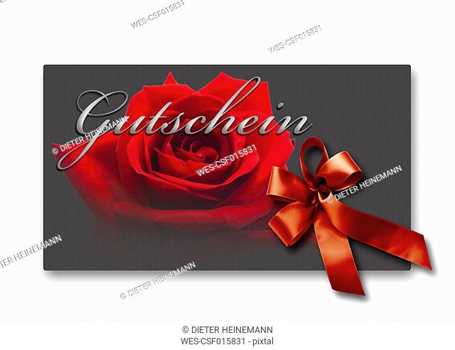 Coupon card with red ribbon and rose against white background, close up