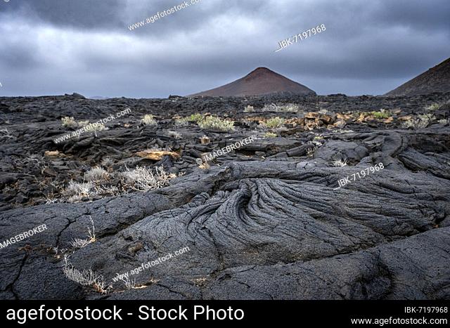 Typical volcanic landscape near La Restinga, Pahoehoe lava, El Hierro, Canary Islands, Spain, Europe