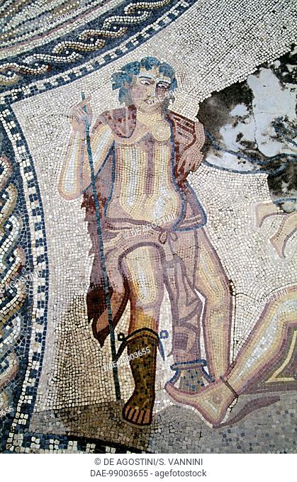 Dionysus, from the Dionysus discovering Ariadne asleep mosaic, Knight's house, Roman city of Volubilis (UNESCO World Heritage List, 1997), Morocco