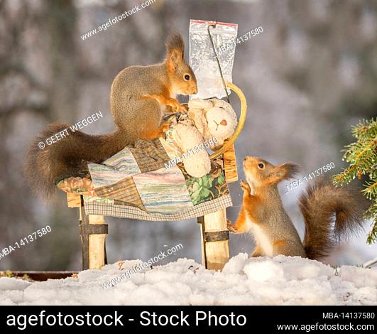 red squirrels in snow with bed, doll and linen