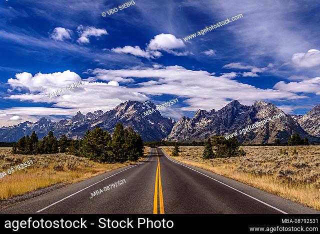 US, Wyoming, Grand Teton National Park, Moose, Teton Range with Teton Park Road near Potholes