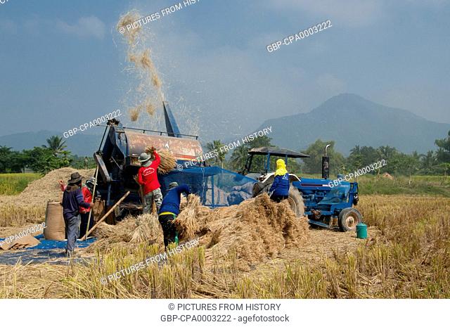 Thailand: A modern threshing machine and its Tai Dam (Black Tai) crew work the ricefields near Ban Na Pa Nat Tai Dam Cultural Village, Loei Province
