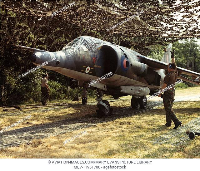 3 Sqn Royal Airforce RAF Bae Harrier Gr-3 Parked under Camoflague Netting