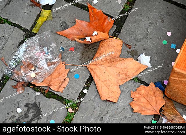 11 November 2023, North Rhine-Westphalia, Cologne: Autumn, leaves, confetti and litter on paving stones Photo: Horst Galuschka/dpa/Horst Galuschka dpa