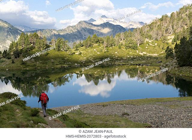 France, Hautes Pyrenees, Aragnouet, Neouvielle natural reserve, Aure valley, Bastan lake