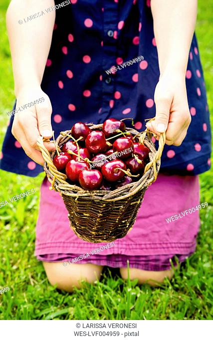 Girl kneeling on a meadow holding punnet of sweet cherries, partial view