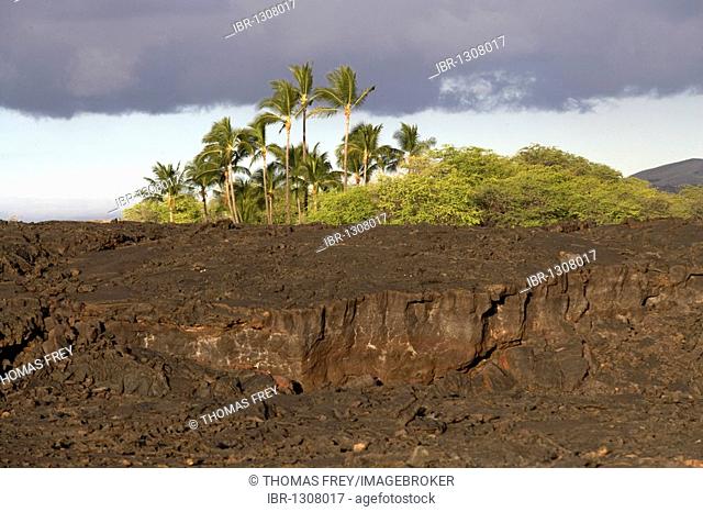 Lava desert near Waikoloa on Big Island, Hawaii, USA