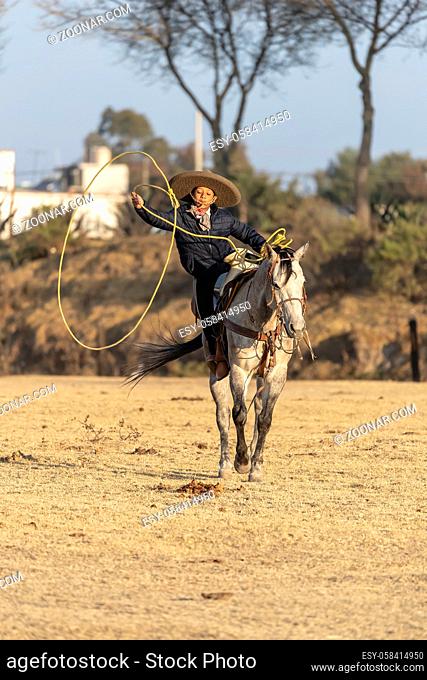 A young Mexican Charro rounds up a herd of horses running through a field on a Mexican Ranch at sunrise