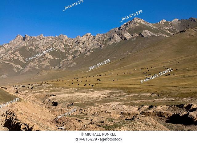 Wild horses and mountains of Sary Tash, Kyrgyzstan, Central Asia, Asia