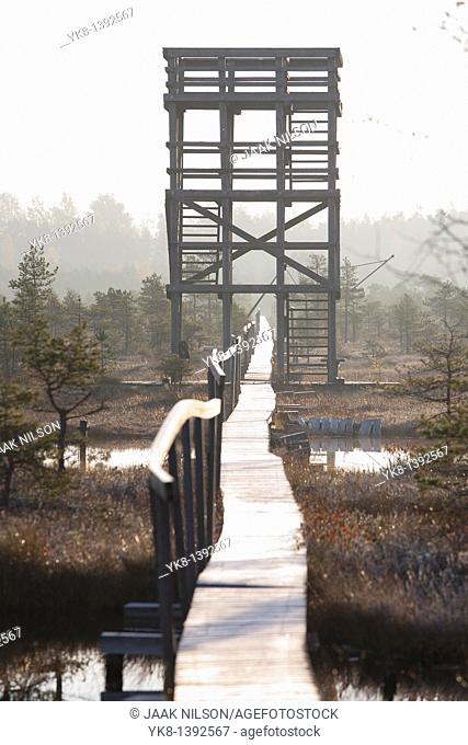 Wooden Watchtower and Boardwalk in Männikjärve Bog, Estonia