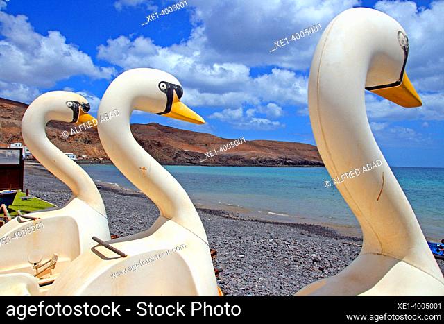 swan-shaped water scooters, Pozo Negro beach, Antigua, Fuerteventura, Spain