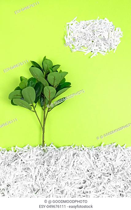 Green tree growing in recycled shredded paper, on bright green background. Environment protection and recycling concept