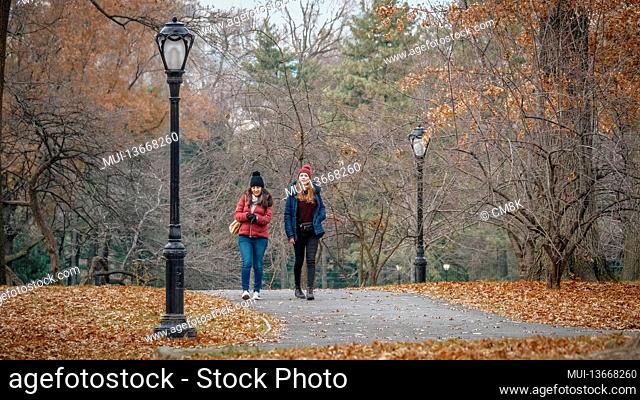 Central Park New York is a wonderful place to relax and extended walks - travel photography
