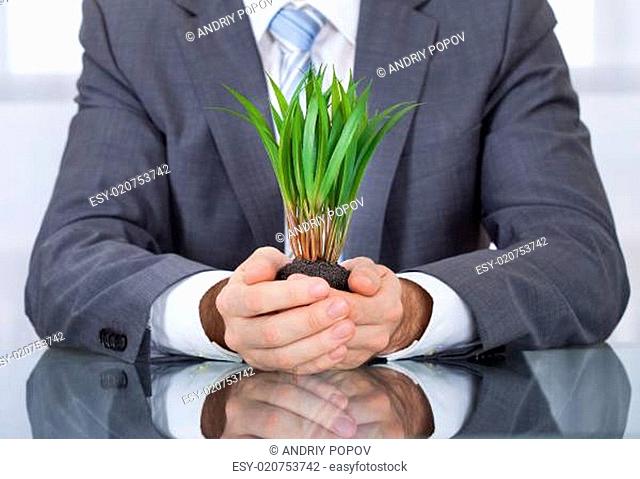 Businessperson With Green Grass