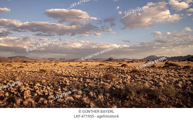 Tiras Mountains and savanna vegetation close to Sossusvlei, Namib Naukluft National Park, Namibia, Africa