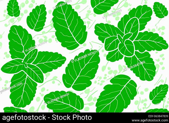 Illustrative image of mint leaf isolated. fresh mint leaves isolated on white background
