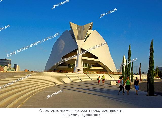Palace of Arts Reina Sofia, by S. Calatrava, City of Arts and Sciences, Comunidad Valenciana, Valencia, Spain, Europe
