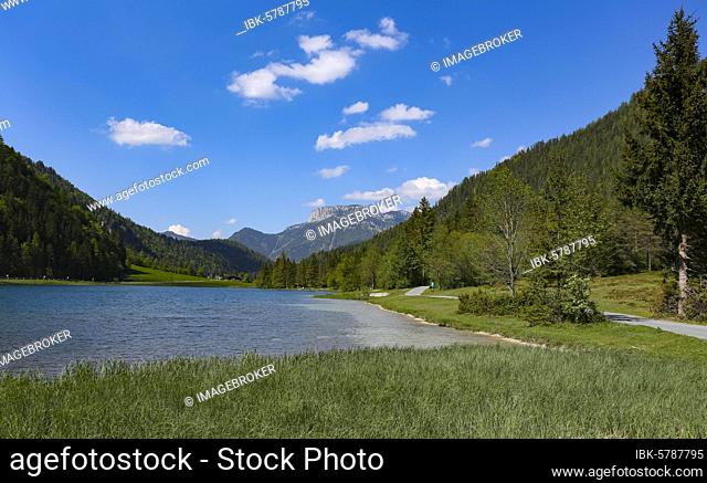 Mountain lake, Pillersee, behind it Steinplatte, Sankt Ulrich am Pillersee, Pillerseetal, Tiro, Austria, Europe