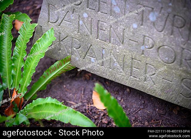 11 November 2022, Hamburg: ""Ukrainian"" is written alongside other nations on a memorial stone in the area of the international war gravesite at Ohlsdorf...